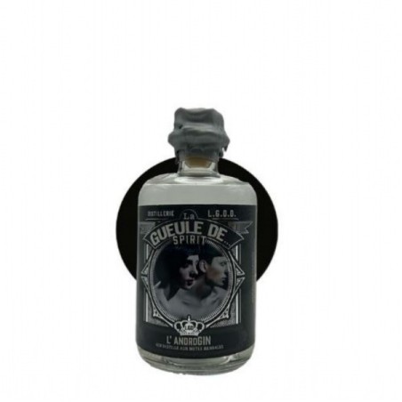 AndroGin personnalisable