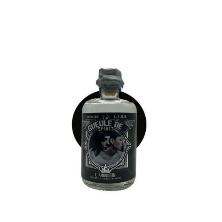 AndroGin personnalisable